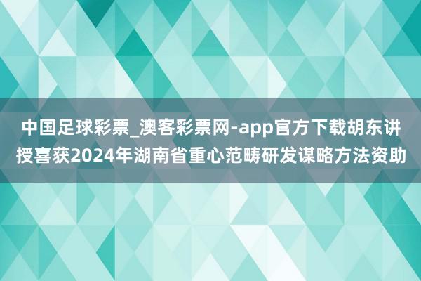 中国足球彩票_澳客彩票网-app官方下载胡东讲授喜获2024年湖南省重心范畴研发谋略方法资助